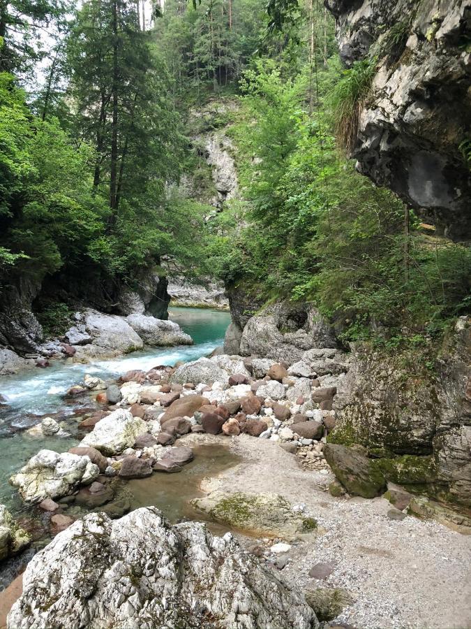Greenwood Holiday تارفيسيو المظهر الخارجي الصورة